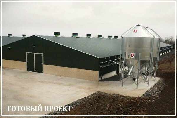 Этапы возведения птицефабрики от завода ВелесТент-бкн